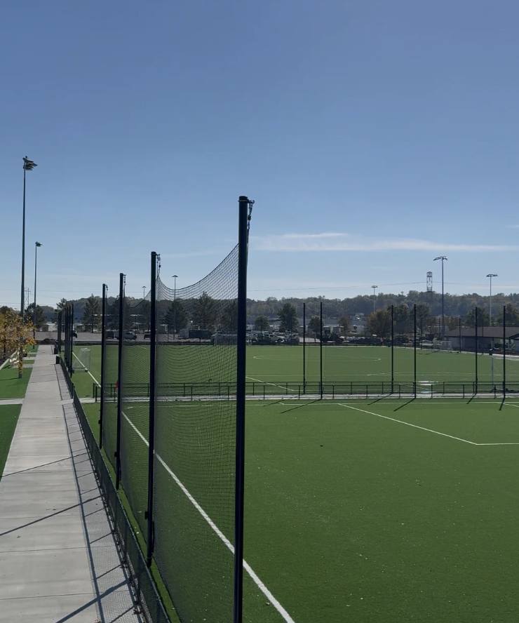 Professional turf field